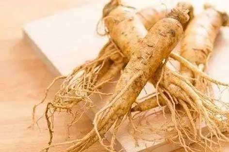 Ginseng