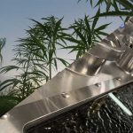 Cannabis Extraction Basic: 10 Frequently Asked Questions