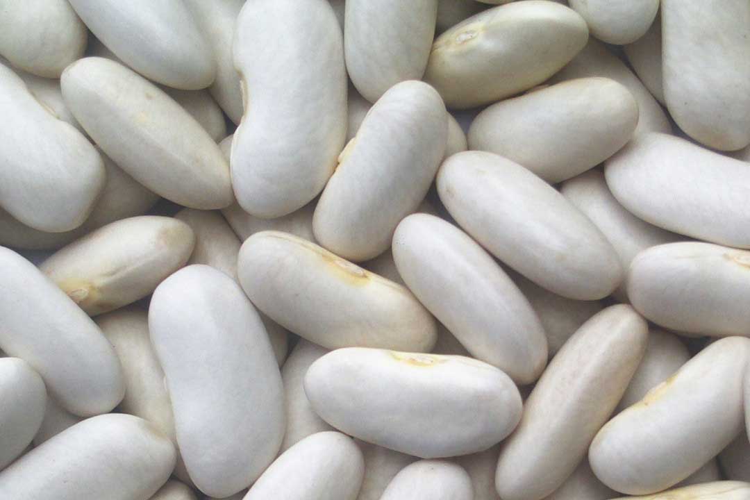 Carbohydrates “sinful”? Kidney Bean Extract Might Help You